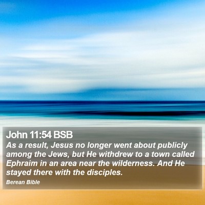 John 11:54 BSB Bible Verse Image