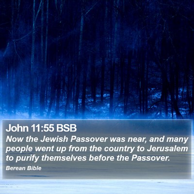 John 11:55 BSB Bible Verse Image