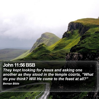 John 11:56 BSB Bible Verse Image