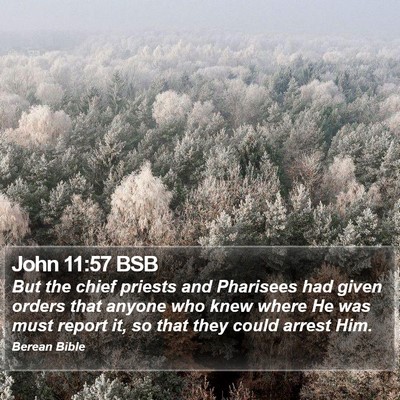John 11:57 BSB Bible Verse Image
