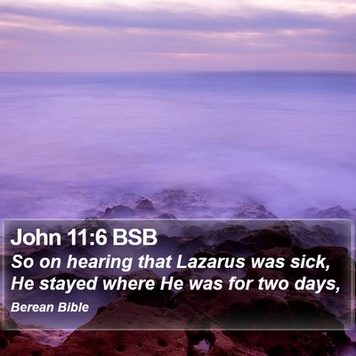 John 11:6 BSB Bible Verse Image