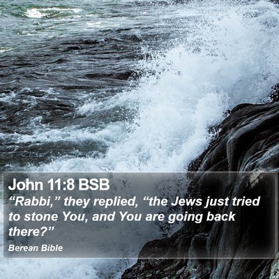 John 11:8 BSB Bible Verse Image