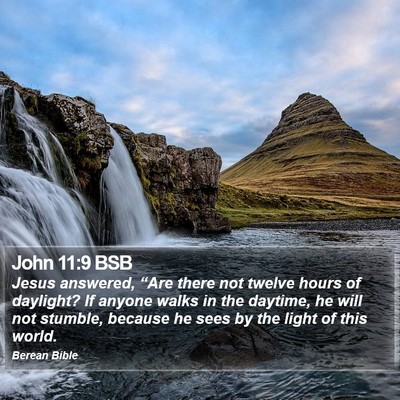 John 11:9 BSB Bible Verse Image