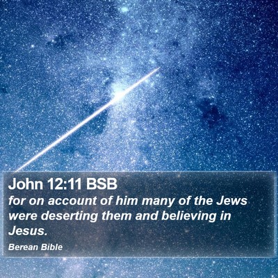 John 12:11 BSB Bible Verse Image