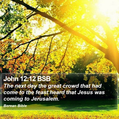 John 12:12 BSB Bible Verse Image