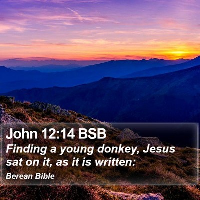 John 12:14 BSB Bible Verse Image