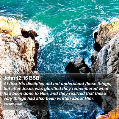 John 12:16 BSB Bible Verse Image