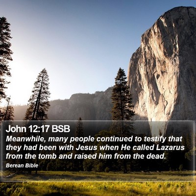 John 12:17 BSB Bible Verse Image