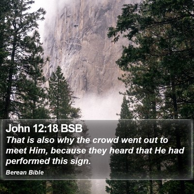 John 12:18 BSB Bible Verse Image