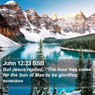 John 12:23 BSB Bible Verse Image