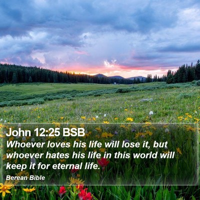 John 12:25 BSB Bible Verse Image