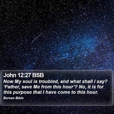 John 12:27 BSB Bible Verse Image