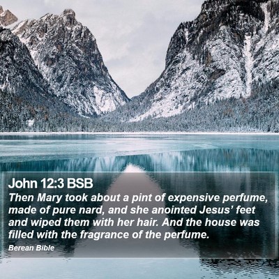 John 12:3 BSB Bible Verse Image