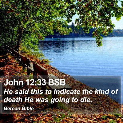 John 12:33 BSB Bible Verse Image