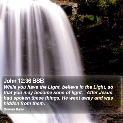 John 12:36 BSB Bible Verse Image
