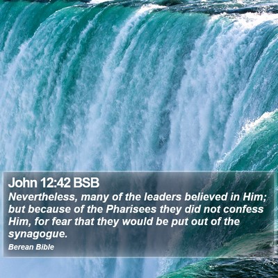 John 12:42 BSB Bible Verse Image