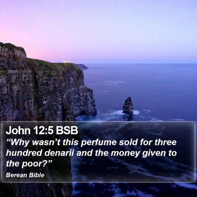John 12:5 BSB Bible Verse Image
