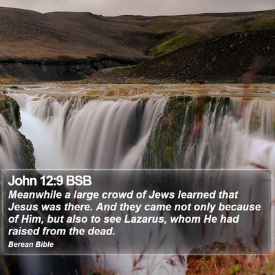 John 12:9 BSB Bible Verse Image