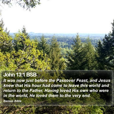 John 13:1 BSB Bible Verse Image