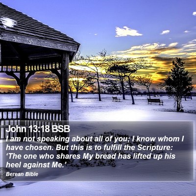 John 13:18 BSB Bible Verse Image
