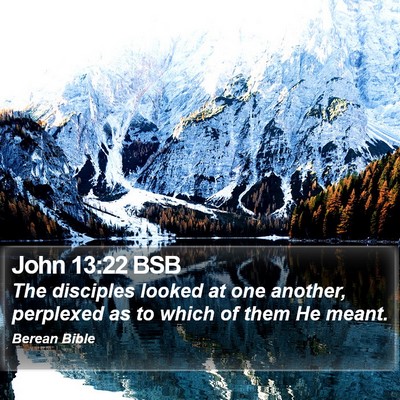 John 13:22 BSB Bible Verse Image
