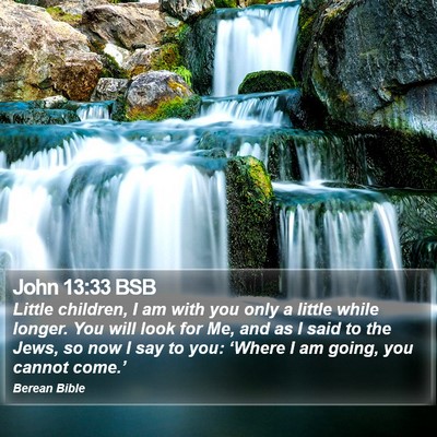 John 13:33 BSB Bible Verse Image