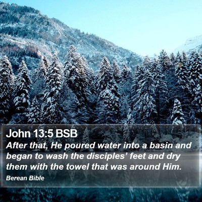 John 13:5 BSB Bible Verse Image