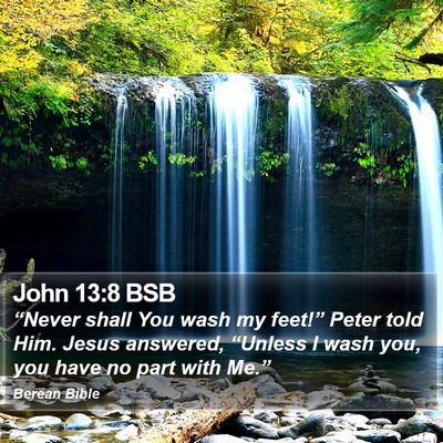 John 13:8 BSB Bible Verse Image