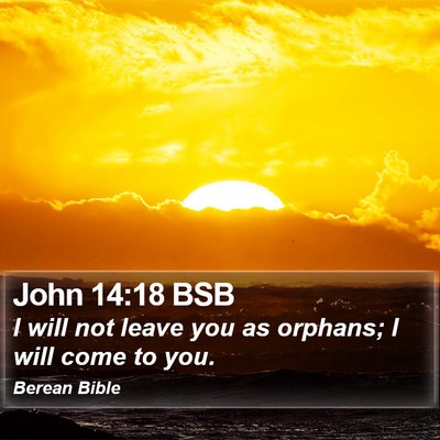 John 14:18 BSB Bible Verse Image