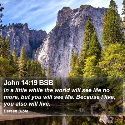 John 14:19 BSB Bible Verse Image