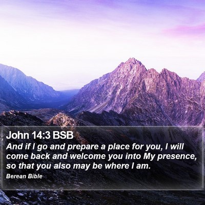 John 14:3 BSB Bible Verse Image