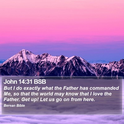John 14:31 BSB Bible Verse Image