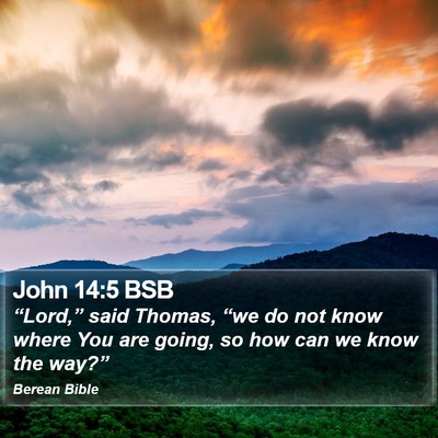 John 14:5 BSB Bible Verse Image