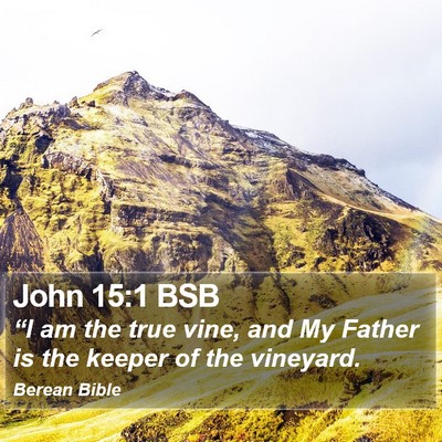 John 15:1 BSB Bible Verse Image