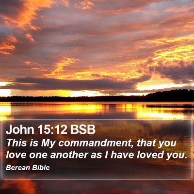 John 15:12 BSB Bible Verse Image