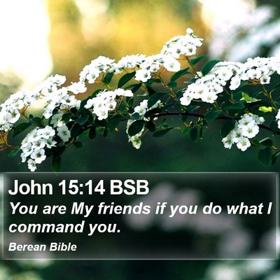 John 15:14 BSB Bible Verse Image
