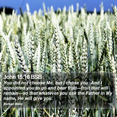 John 15:16 BSB Bible Verse Image