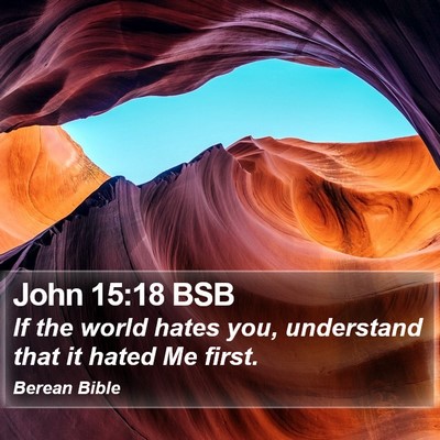 John 15:18 BSB Bible Verse Image