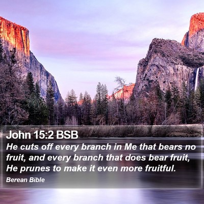 John 15:2 BSB Bible Verse Image