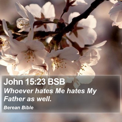 John 15:23 BSB Bible Verse Image