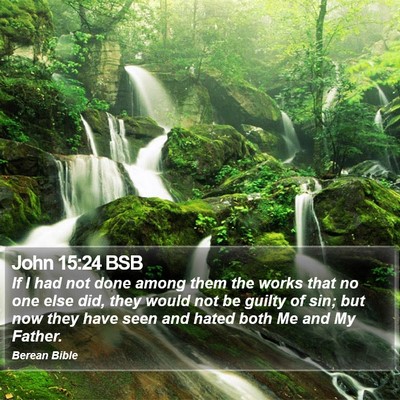John 15:24 BSB Bible Verse Image