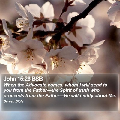 John 15:26 BSB Bible Verse Image