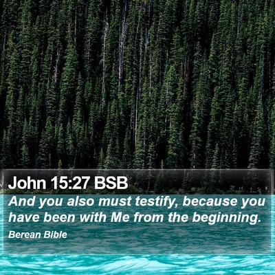 John 15:27 BSB Bible Verse Image