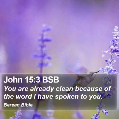 John 15:3 BSB Bible Verse Image