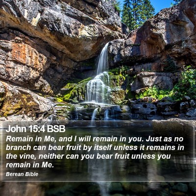 John 15:4 BSB Bible Verse Image