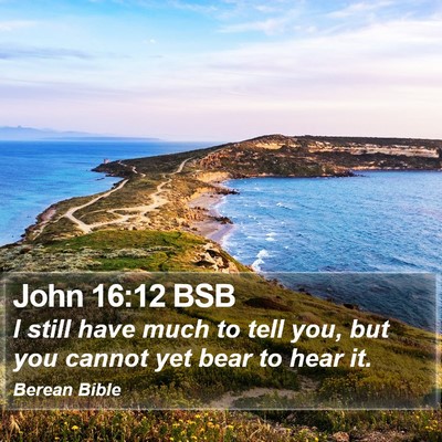 John 16:12 BSB Bible Verse Image