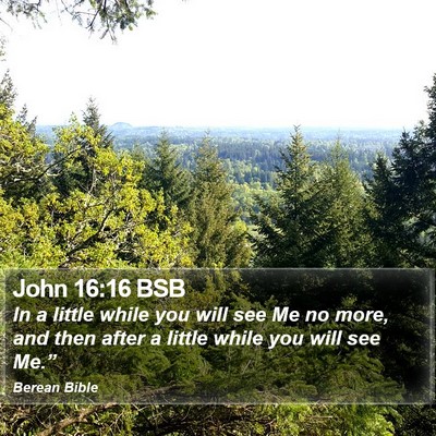 John 16:16 BSB Bible Verse Image