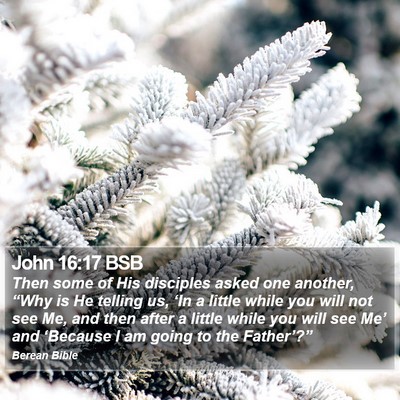 John 16:17 BSB Bible Verse Image