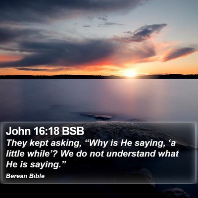 John 16:18 BSB Bible Verse Image