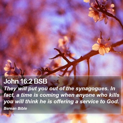 John 16:2 BSB Bible Verse Image